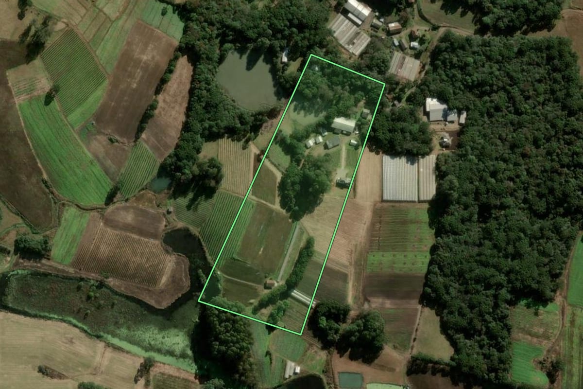 Imagem de satélite do imóvel rural em Caxias do Sul (RS), com o contorno declarado no CAR desenhado por cima.