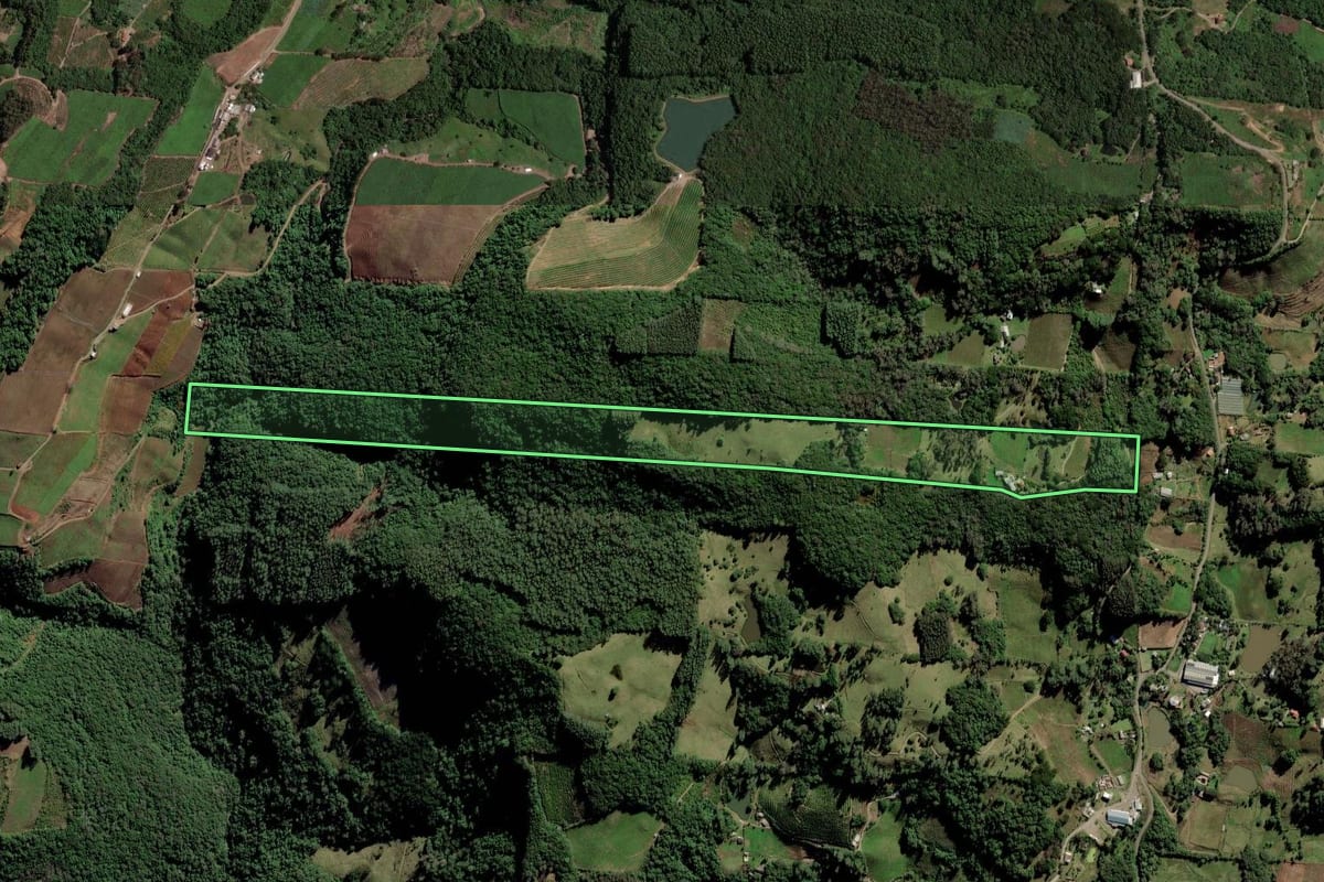 Imagem de satélite do imóvel rural em Caxias do Sul (RS), com o contorno declarado no CAR desenhado por cima.