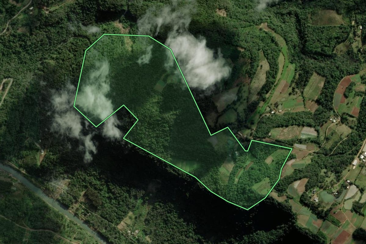 Imagem de satélite do imóvel rural em Caxias do Sul (RS), com o contorno declarado no CAR desenhado por cima.