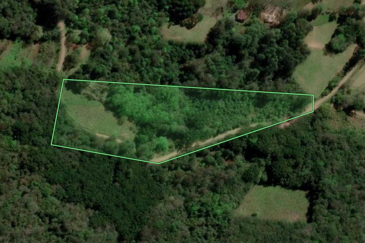 Imagem de satélite do imóvel rural em Caxias do Sul (RS), com o contorno declarado no CAR desenhado por cima.
