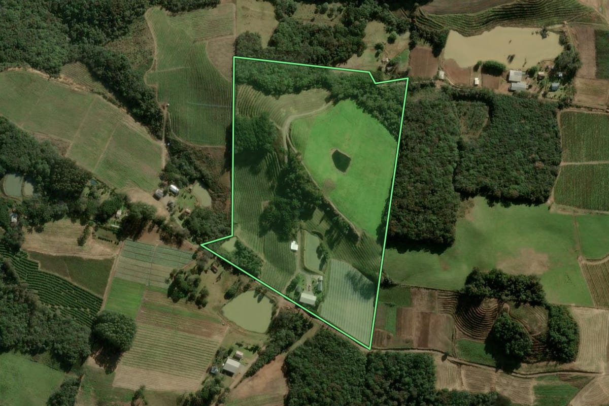 Imagem de satélite do imóvel rural em Caxias do Sul (RS), com o contorno declarado no CAR desenhado por cima.