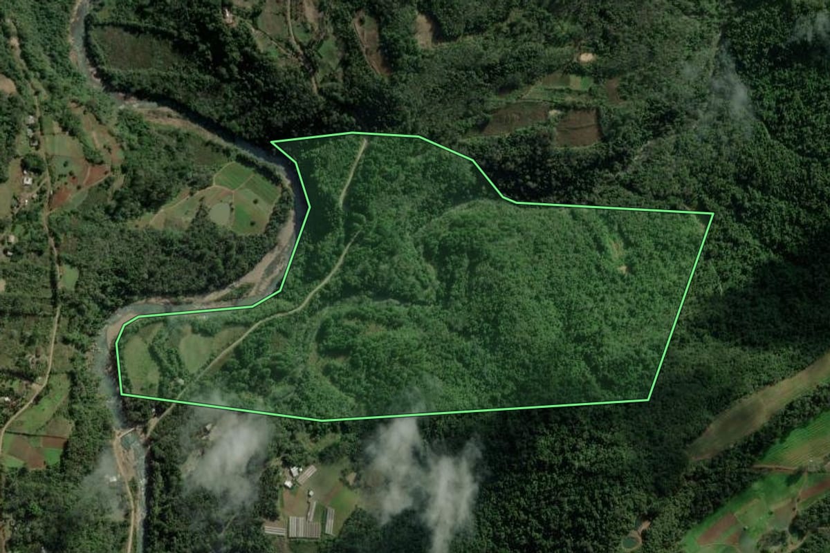 Imagem de satélite do imóvel rural em Caxias do Sul (RS), com o contorno declarado no CAR desenhado por cima.