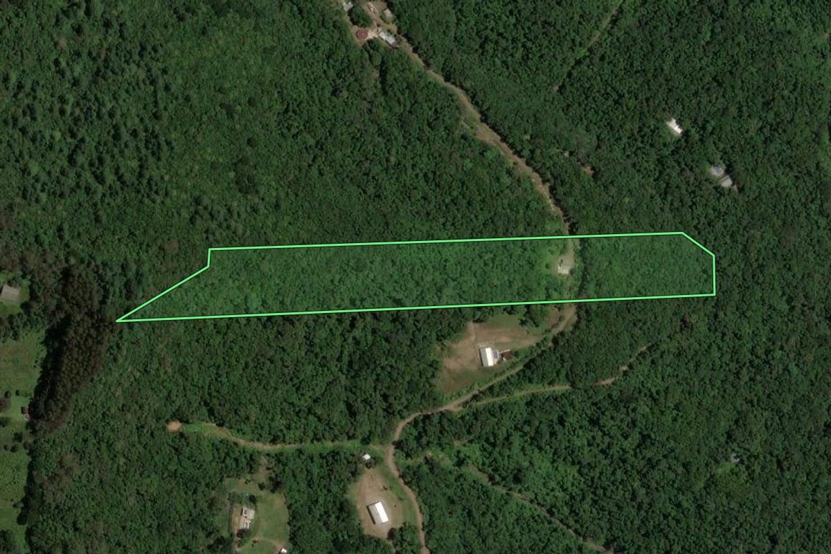Imagem de satélite do imóvel rural em Caxias do Sul (RS), com o contorno declarado no CAR desenhado por cima.
