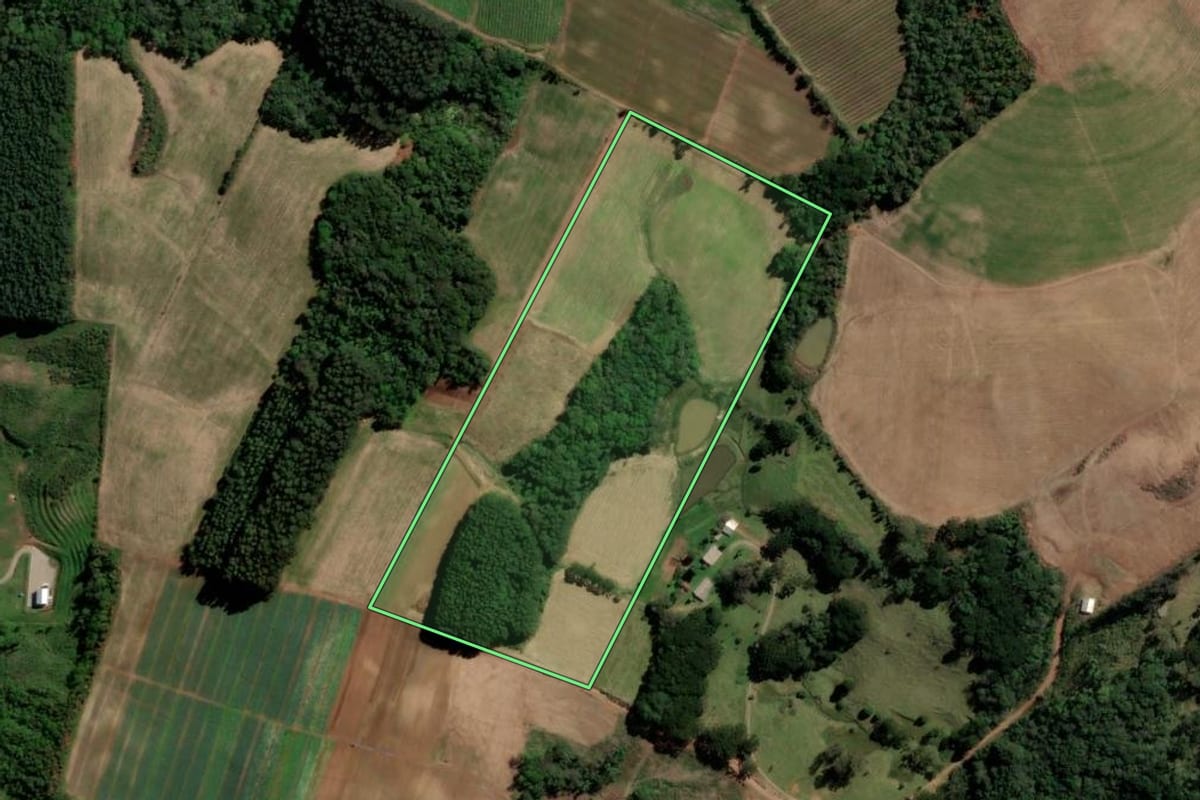 Imagem de satélite do imóvel rural em Caxias do Sul (RS), com o contorno declarado no CAR desenhado por cima.