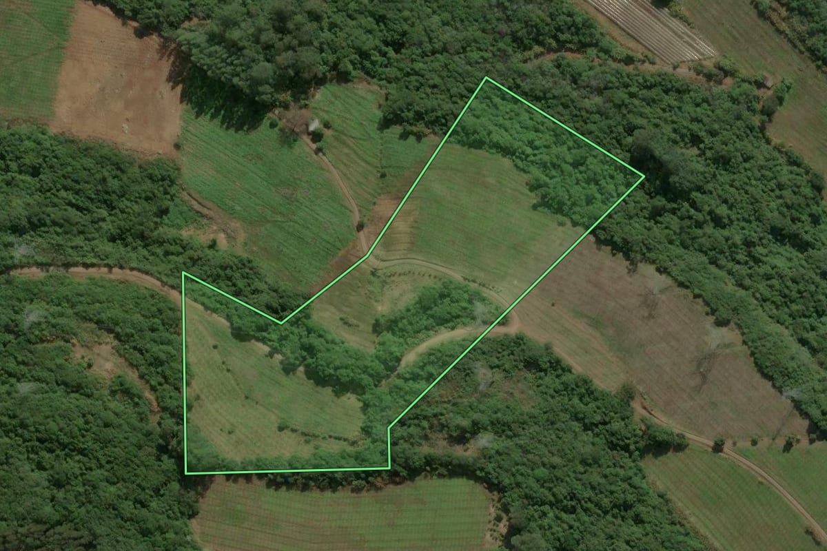 Imagem de satélite do imóvel rural em Caxias do Sul (RS), com o contorno declarado no CAR desenhado por cima.