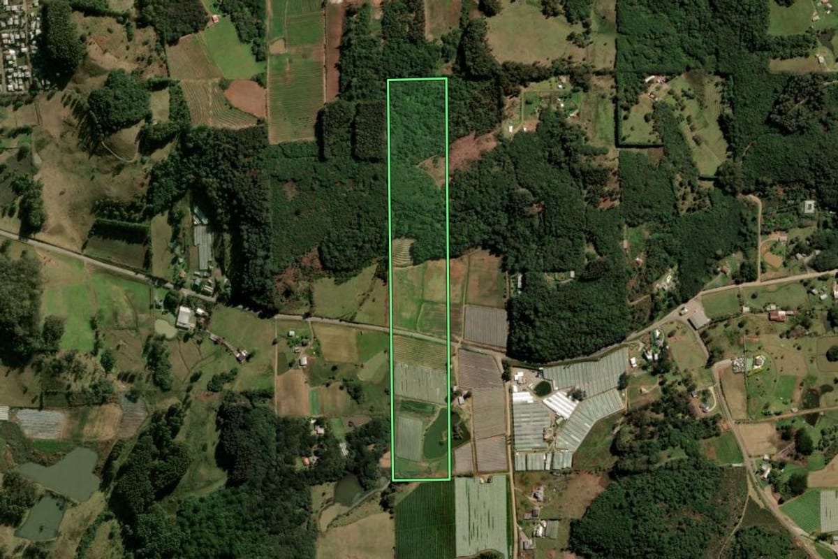 Imagem de satélite do imóvel rural em Caxias do Sul (RS), com o contorno declarado no CAR desenhado por cima.