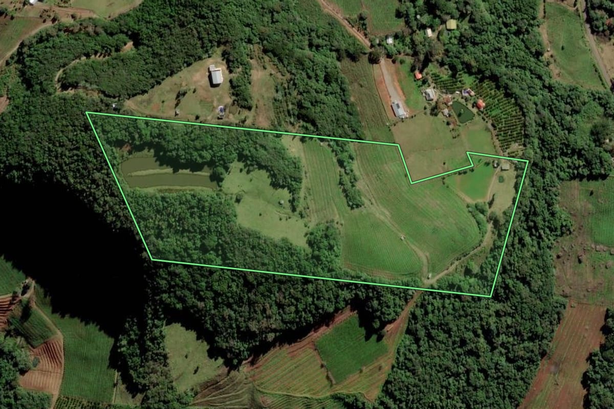 Imagem de satélite do imóvel rural em Caxias do Sul (RS), com o contorno declarado no CAR desenhado por cima.