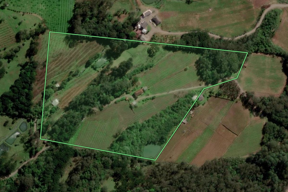 Imagem de satélite do imóvel rural em Caxias do Sul (RS), com o contorno declarado no CAR desenhado por cima.