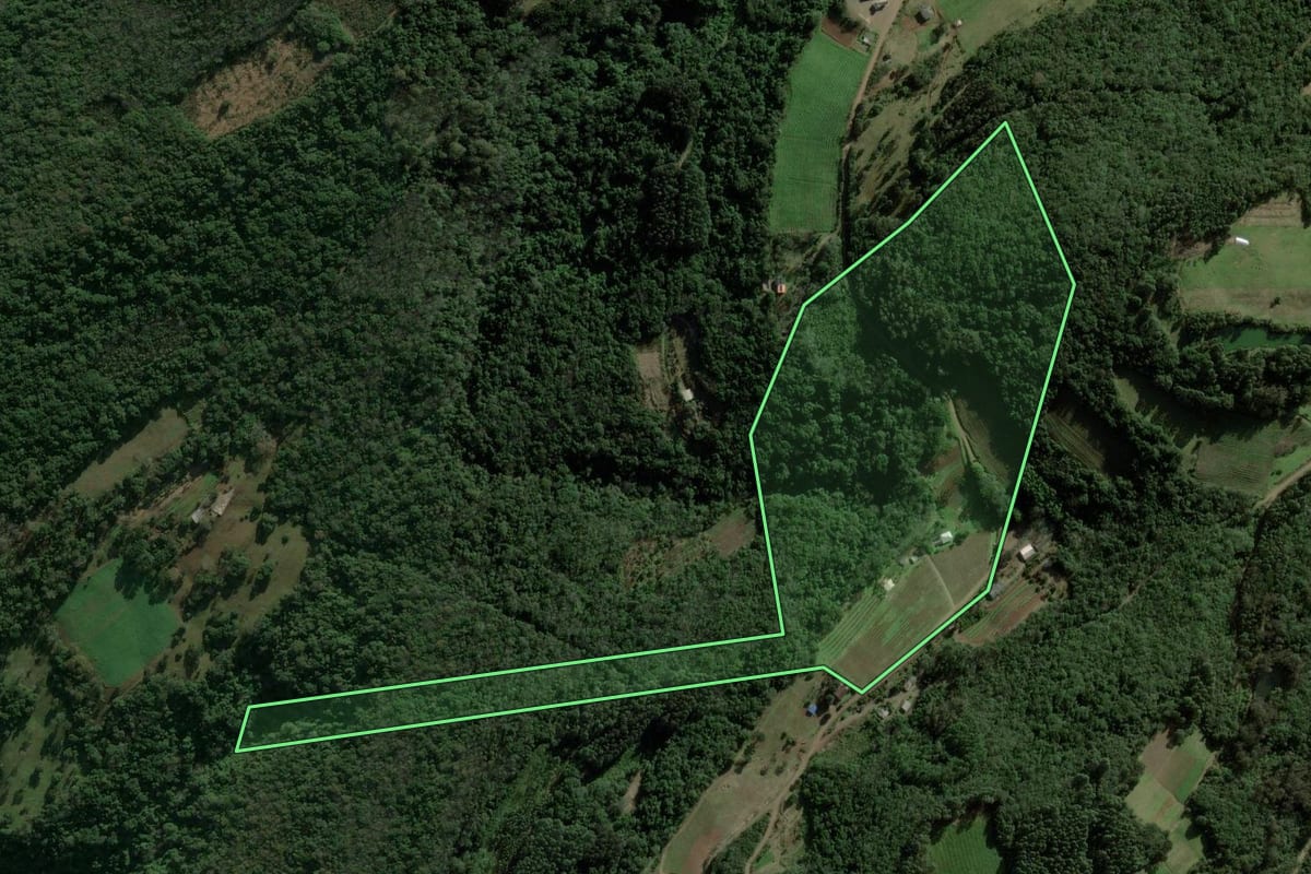 Imagem de satélite do imóvel rural em Caxias do Sul (RS), com o contorno declarado no CAR desenhado por cima.
