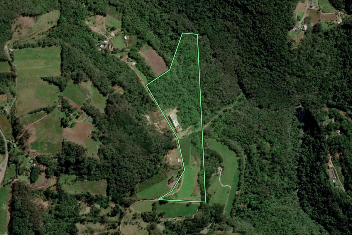 Imagem de satélite do imóvel rural em Caxias do Sul (RS), com o contorno declarado no CAR desenhado por cima.