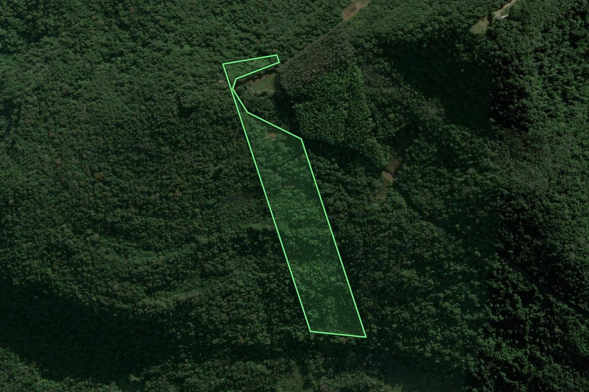 Imagem de satélite do imóvel rural em Caxias do Sul (RS), com o contorno declarado no CAR desenhado por cima.