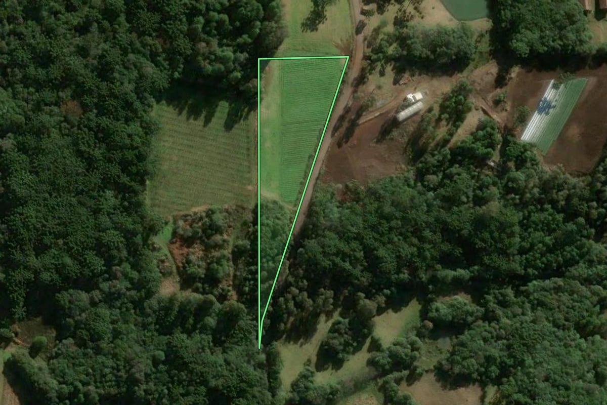 Imagem de satélite do imóvel rural em Caxias do Sul (RS), com o contorno declarado no CAR desenhado por cima.