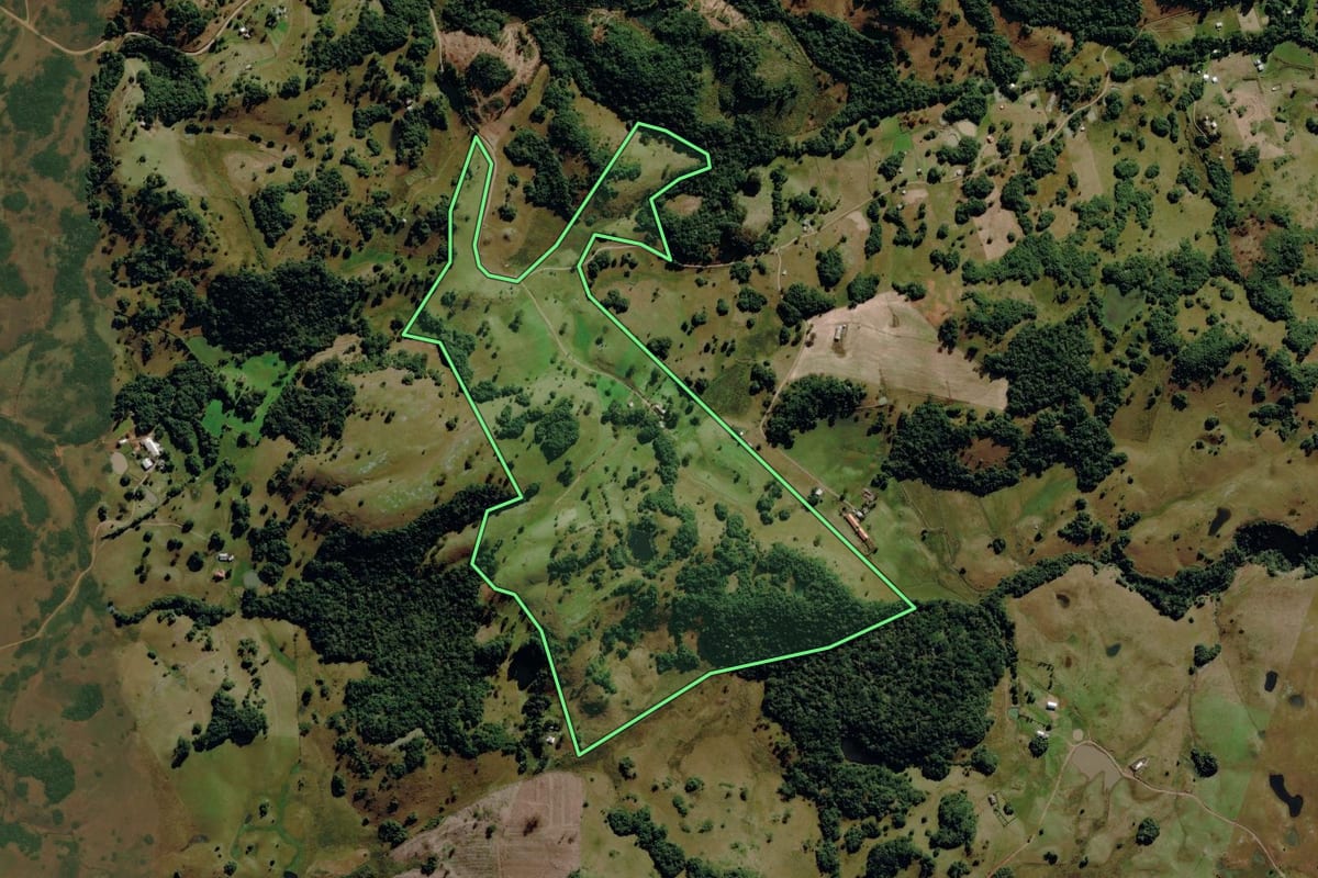 Imagem de satélite do imóvel rural em Caxias do Sul (RS), com o contorno declarado no CAR desenhado por cima.