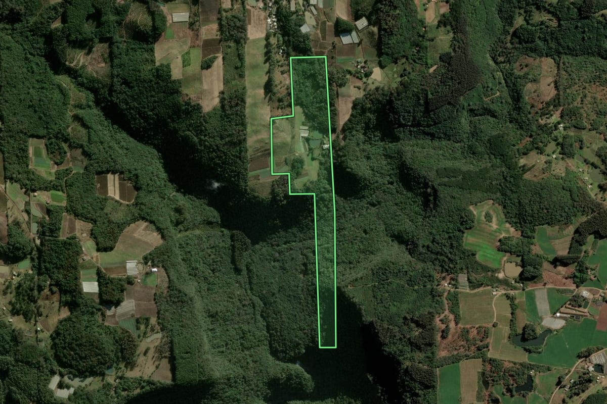 Imagem de satélite do imóvel rural em Caxias do Sul (RS), com o contorno declarado no CAR desenhado por cima.