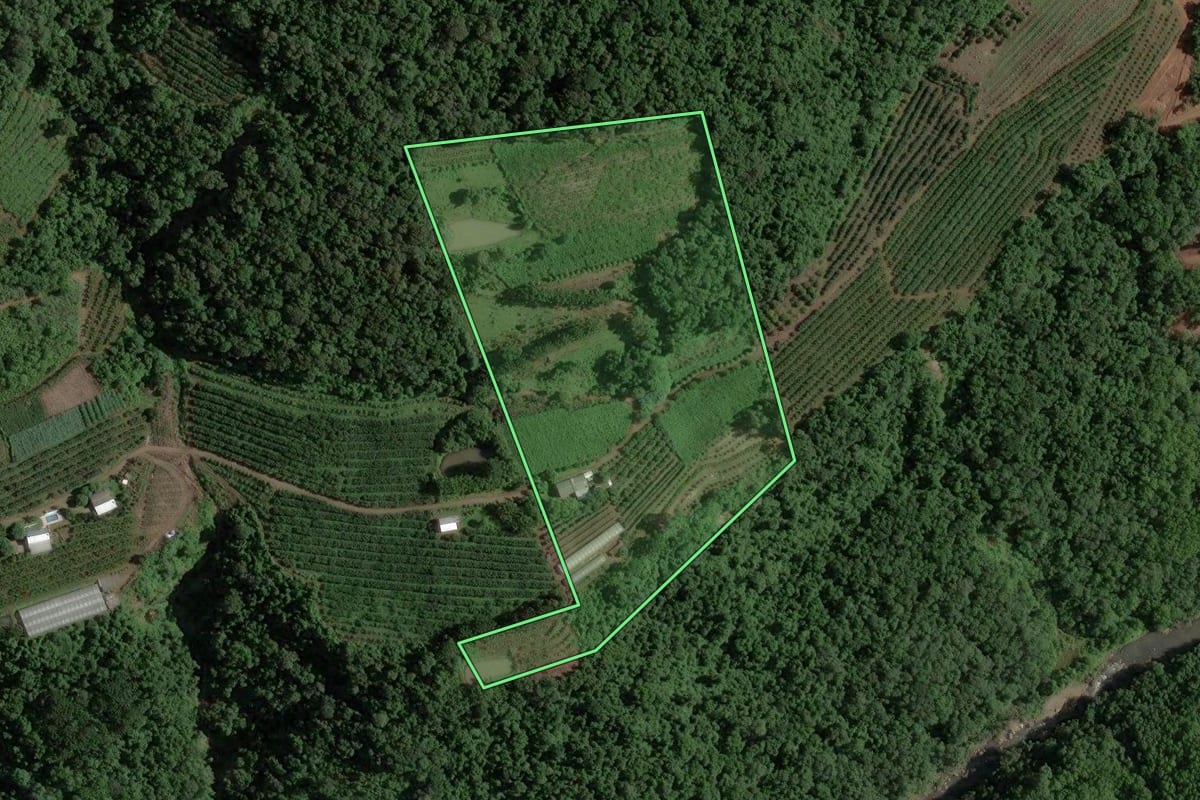Imagem de satélite do imóvel rural em Caxias do Sul (RS), com o contorno declarado no CAR desenhado por cima.