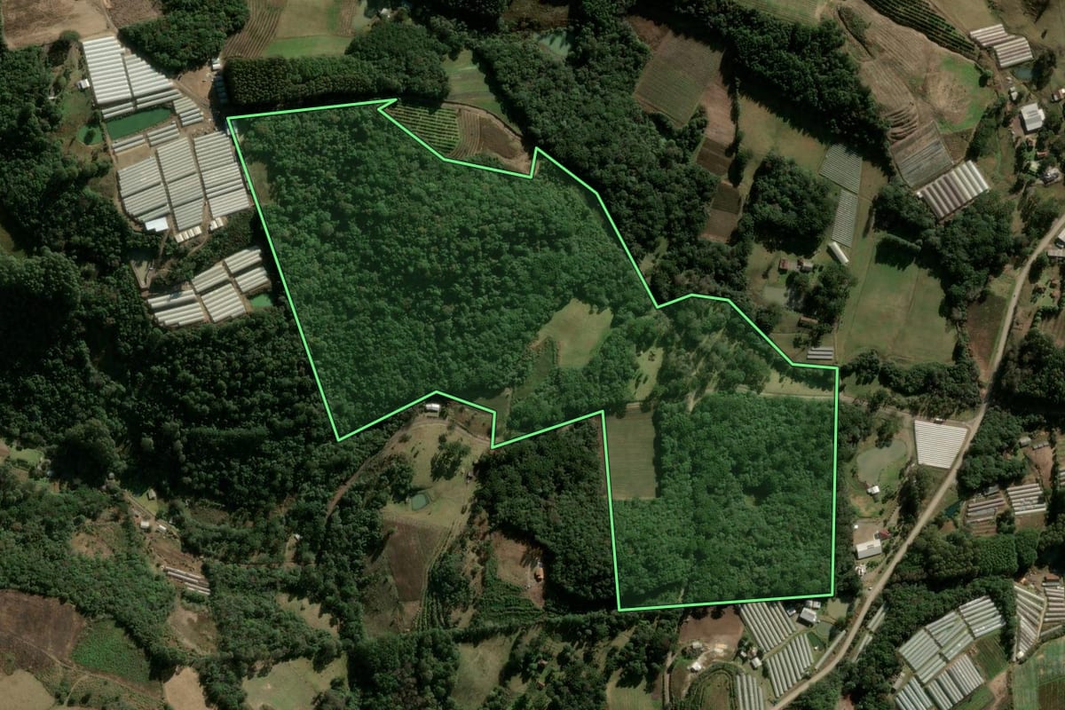 Imagem de satélite do imóvel rural em Caxias do Sul (RS), com o contorno declarado no CAR desenhado por cima.