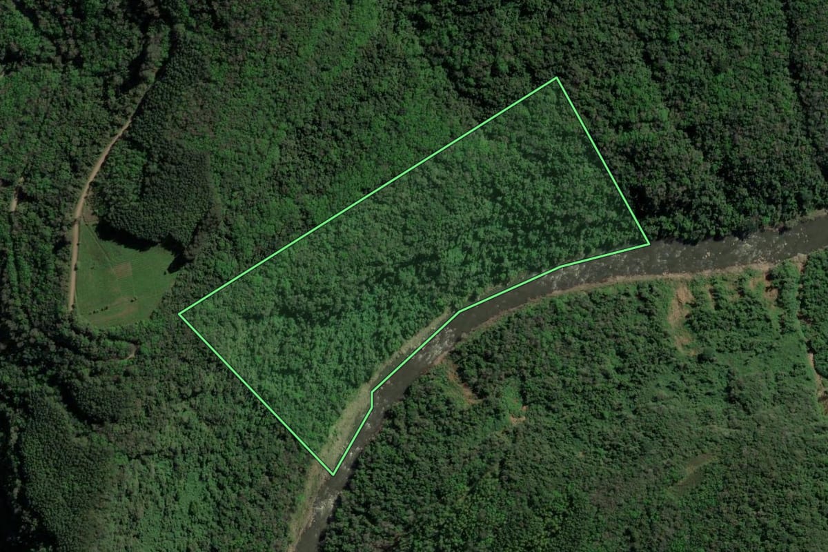 Imagem de satélite do imóvel rural em Caxias do Sul (RS), com o contorno declarado no CAR desenhado por cima.