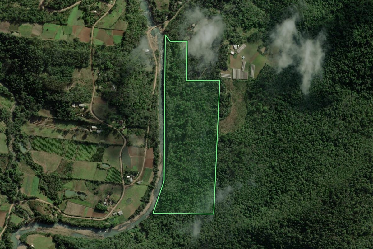 Imagem de satélite do imóvel rural em Caxias do Sul (RS), com o contorno declarado no CAR desenhado por cima.