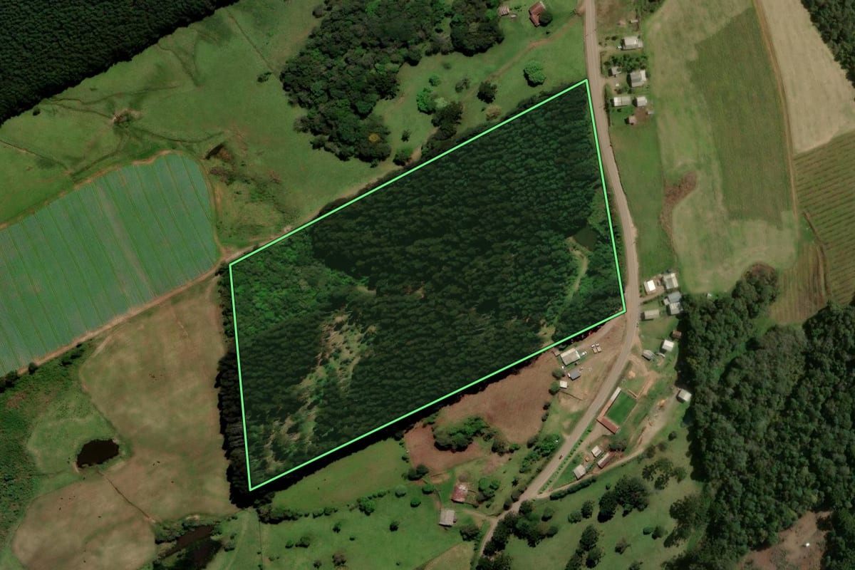 Imagem de satélite do imóvel rural em Caxias do Sul (RS), com o contorno declarado no CAR desenhado por cima.