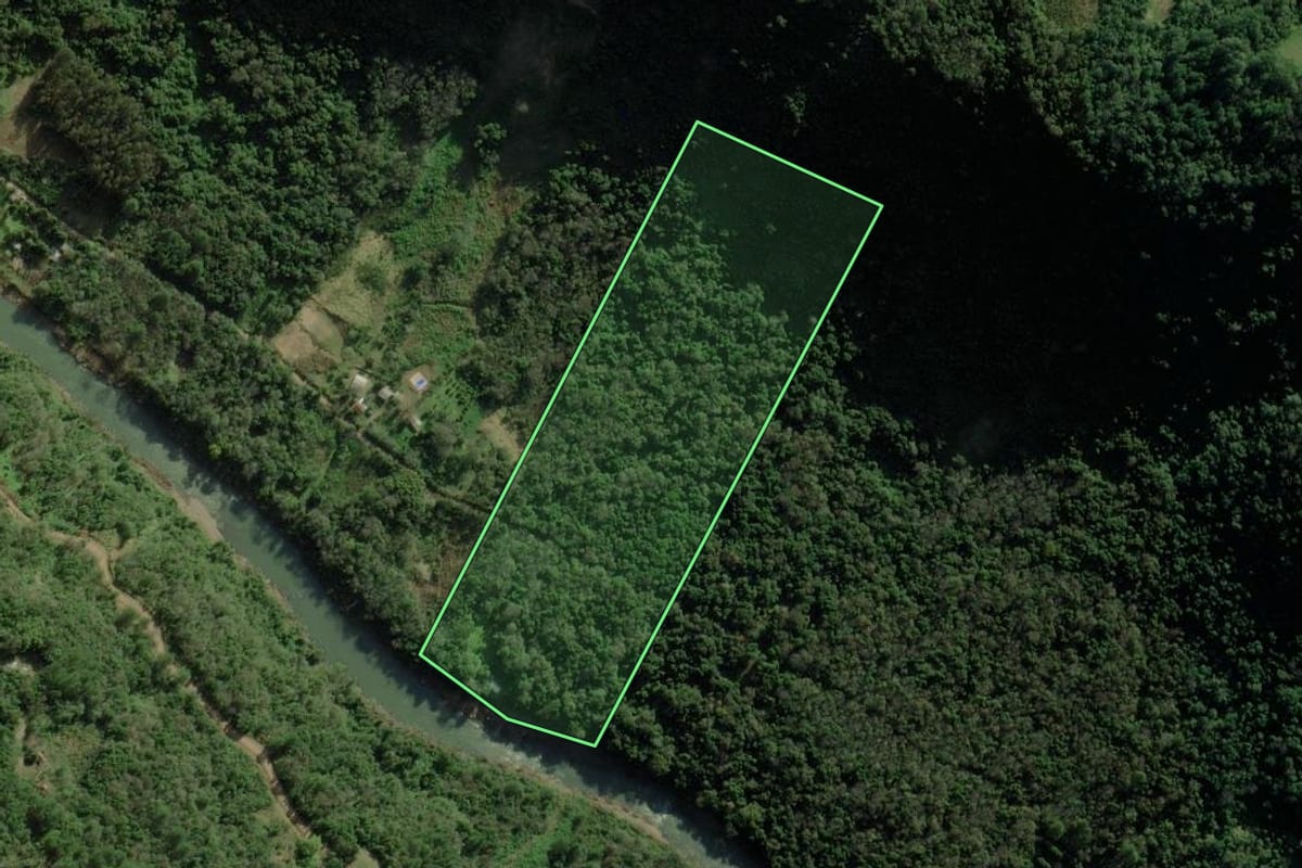 Imagem de satélite do imóvel rural em Caxias do Sul (RS), com o contorno declarado no CAR desenhado por cima.