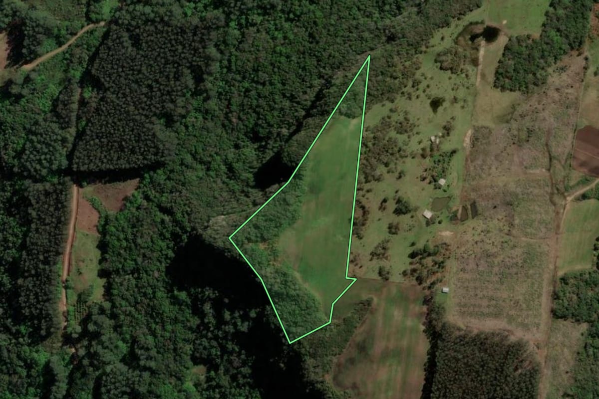 Imagem de satélite do imóvel rural em Caxias do Sul (RS), com o contorno declarado no CAR desenhado por cima.