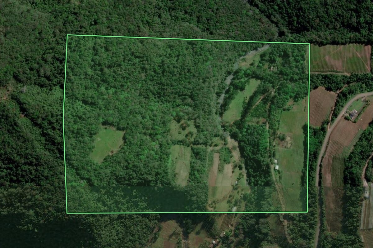 Imagem de satélite do imóvel rural em Caxias do Sul (RS), com o contorno declarado no CAR desenhado por cima.