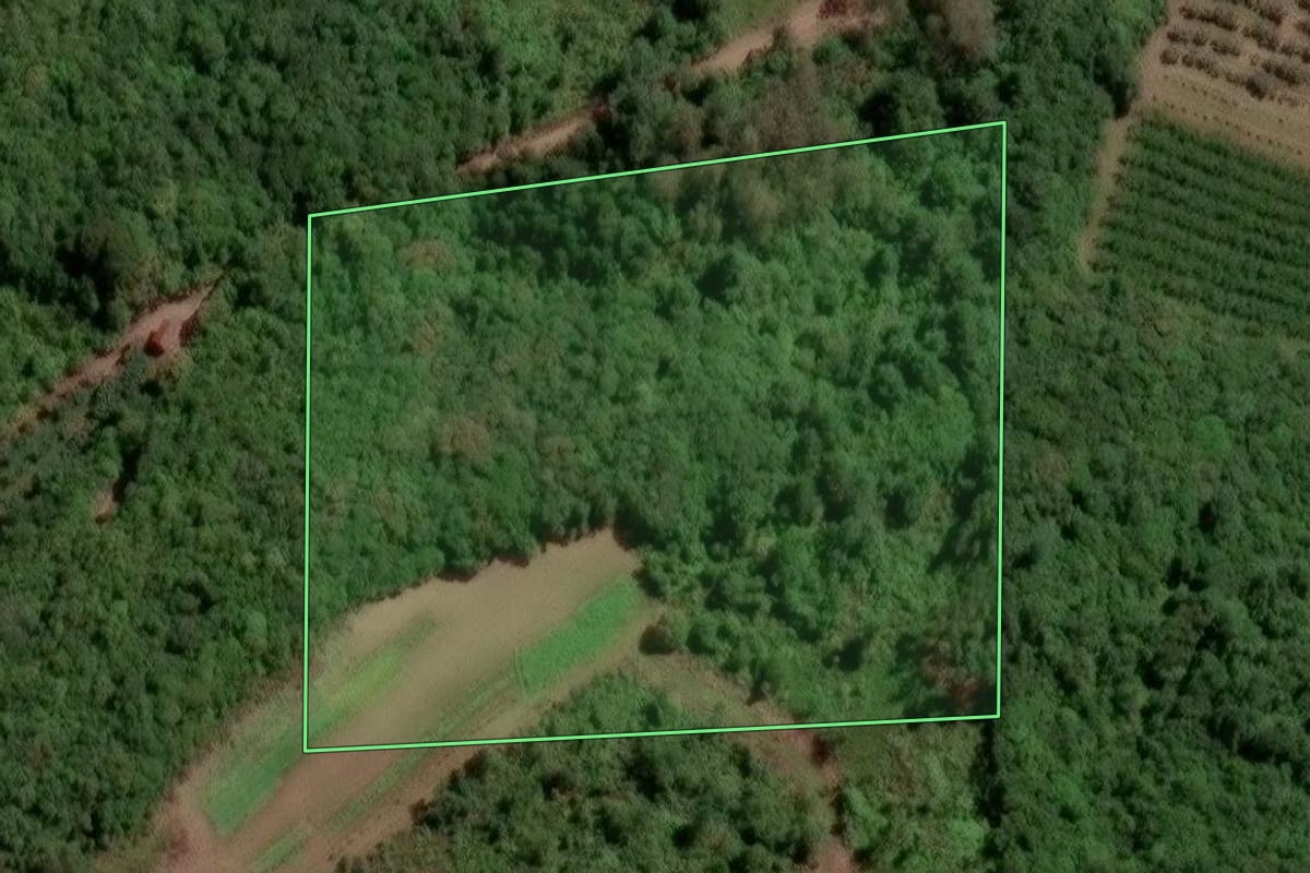 Imagem de satélite do imóvel rural em Caxias do Sul (RS), com o contorno declarado no CAR desenhado por cima.