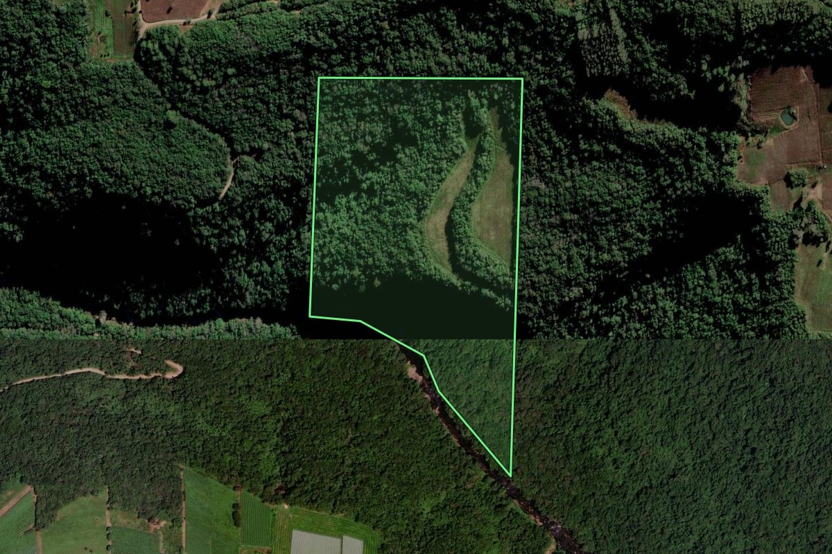 Imagem de satélite do imóvel rural em Caxias do Sul (RS), com o contorno declarado no CAR desenhado por cima.