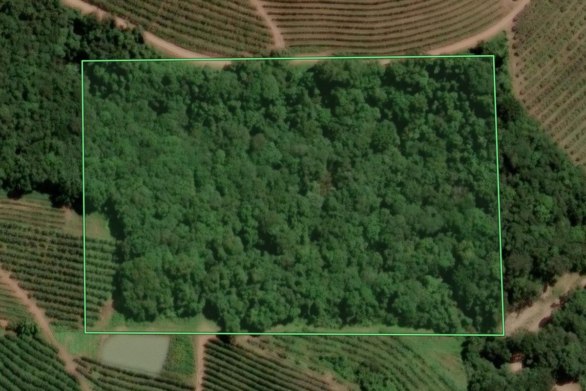 Imagem de satélite do imóvel rural em Caxias do Sul (RS), com o contorno declarado no CAR desenhado por cima.