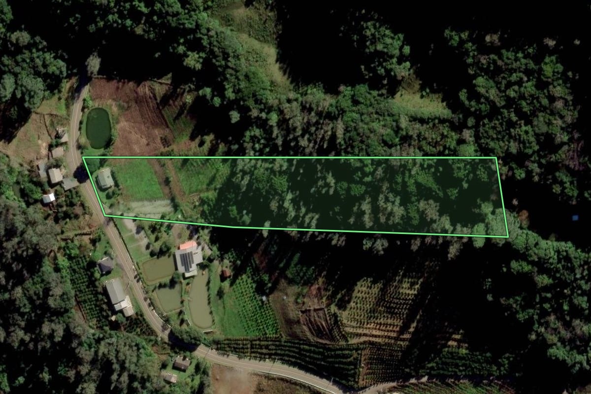Imagem de satélite do imóvel rural em Caxias do Sul (RS), com o contorno declarado no CAR desenhado por cima.