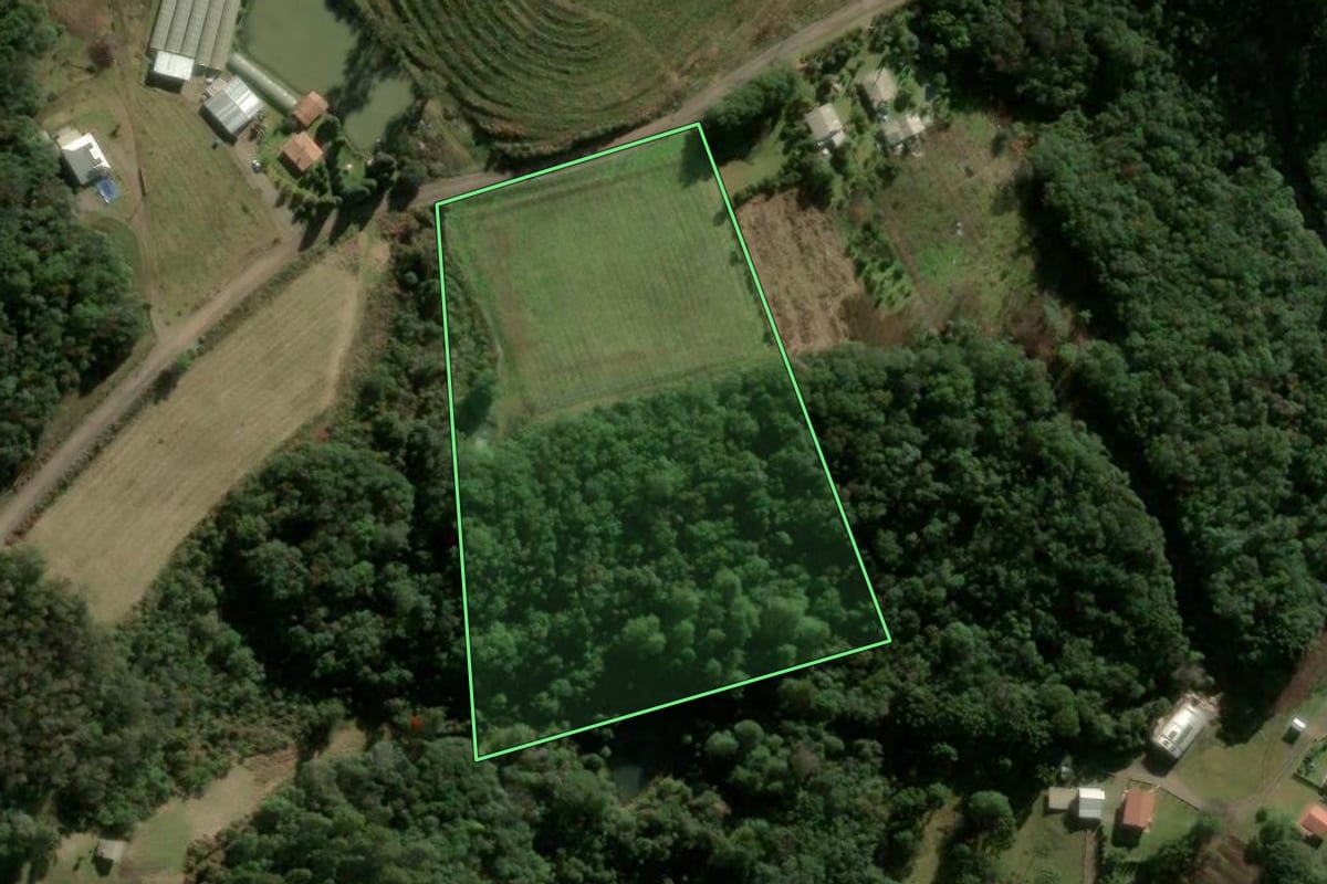 Imagem de satélite do imóvel rural em Caxias do Sul (RS), com o contorno declarado no CAR desenhado por cima.