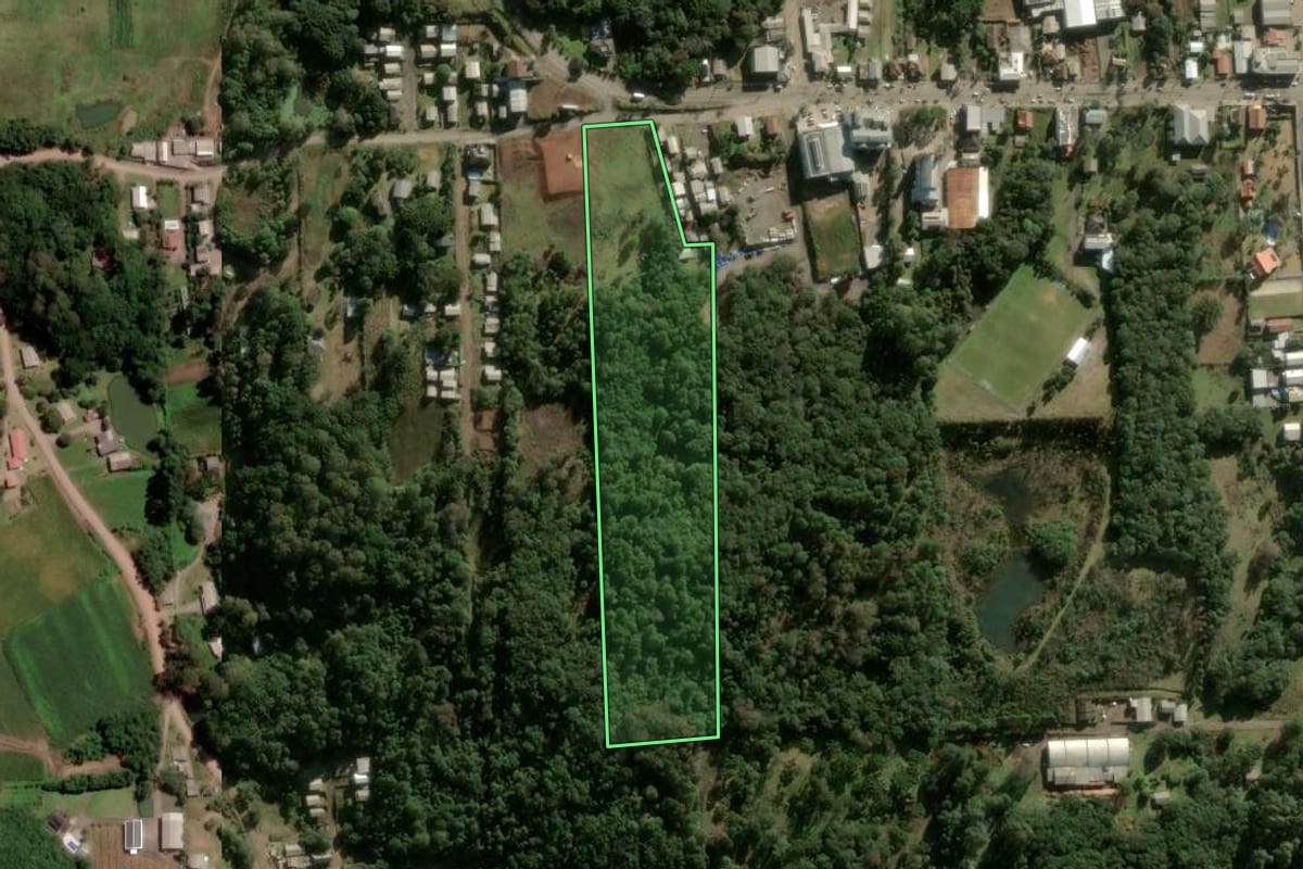 Imagem de satélite do imóvel rural em Caxias do Sul (RS), com o contorno declarado no CAR desenhado por cima.