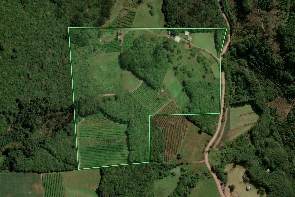 Imagem de satélite do imóvel rural em Caxias do Sul (RS), com o contorno declarado no CAR desenhado por cima.