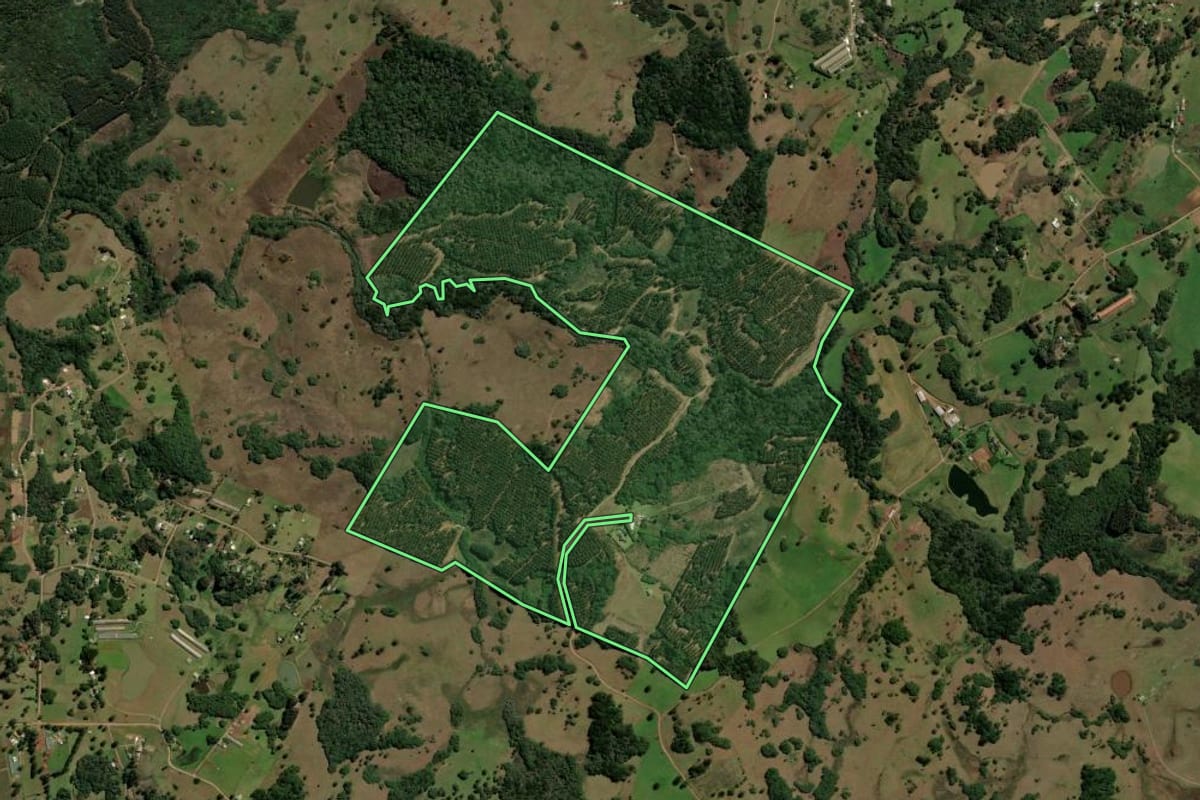 Imagem de satélite do imóvel rural em Caxias do Sul (RS), com o contorno declarado no CAR desenhado por cima.