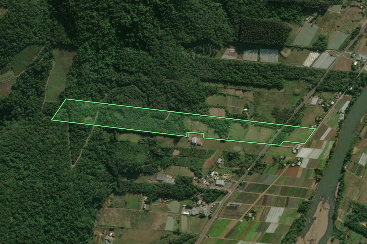 Imagem de satélite do imóvel rural em Caxias do Sul (RS), com o contorno declarado no CAR desenhado por cima.