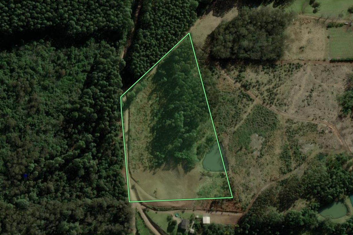 Imagem de satélite do imóvel rural em Caxias do Sul (RS), com o contorno declarado no CAR desenhado por cima.