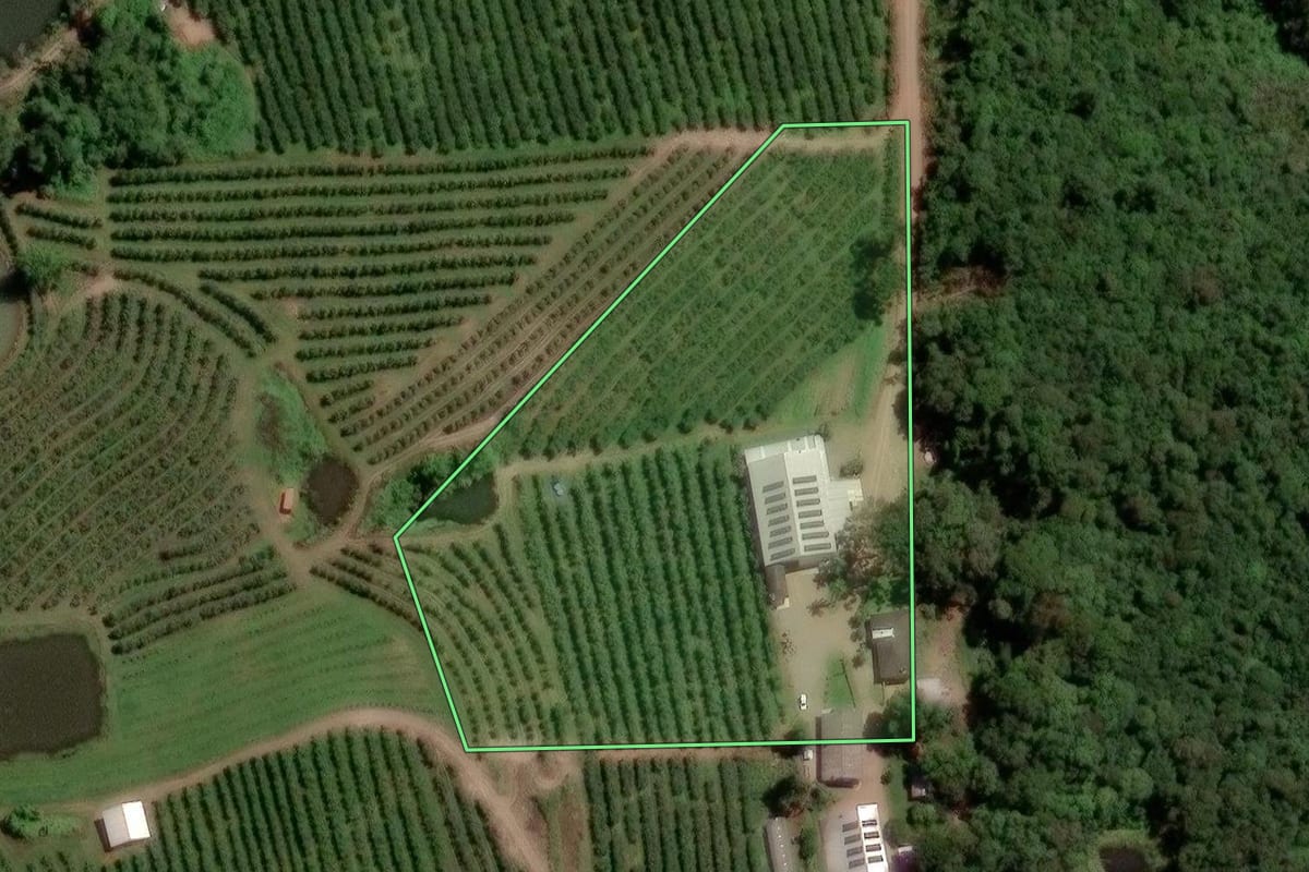 Imagem de satélite do imóvel rural em Caxias do Sul (RS), com o contorno declarado no CAR desenhado por cima.