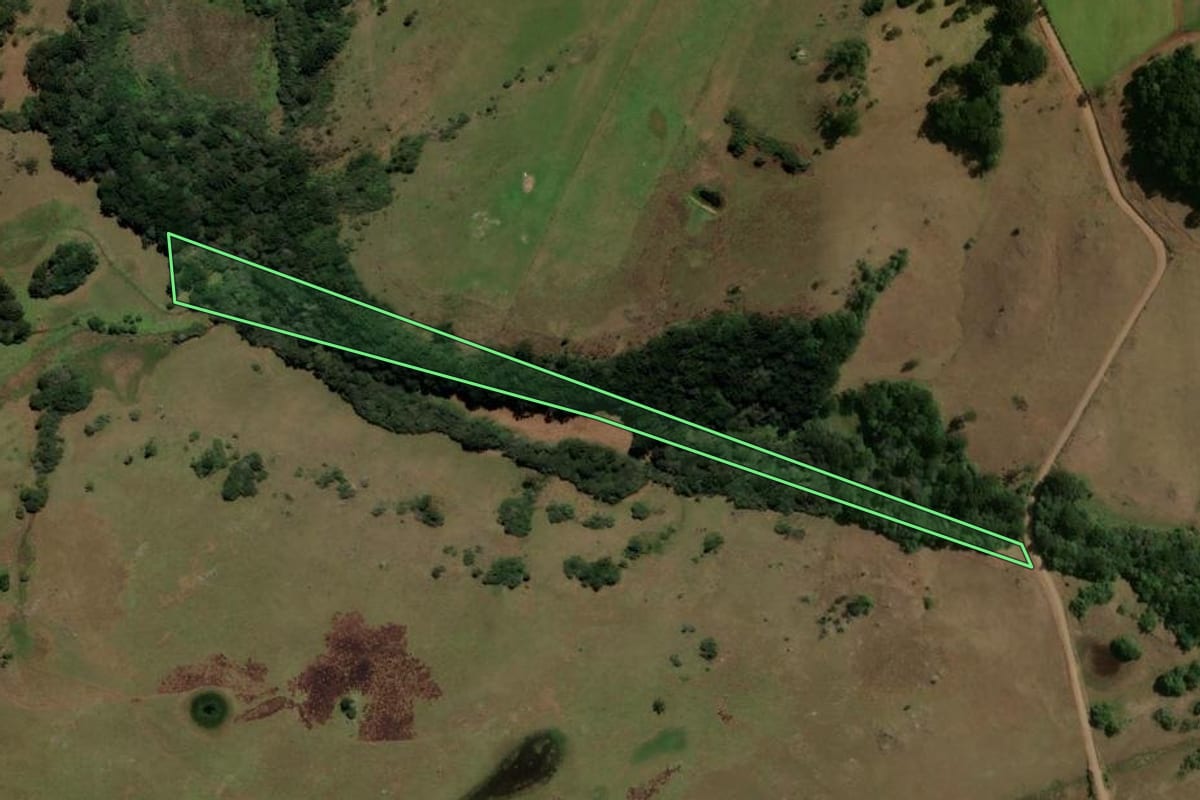 Imagem de satélite do imóvel rural em Caxias do Sul (RS), com o contorno declarado no CAR desenhado por cima.