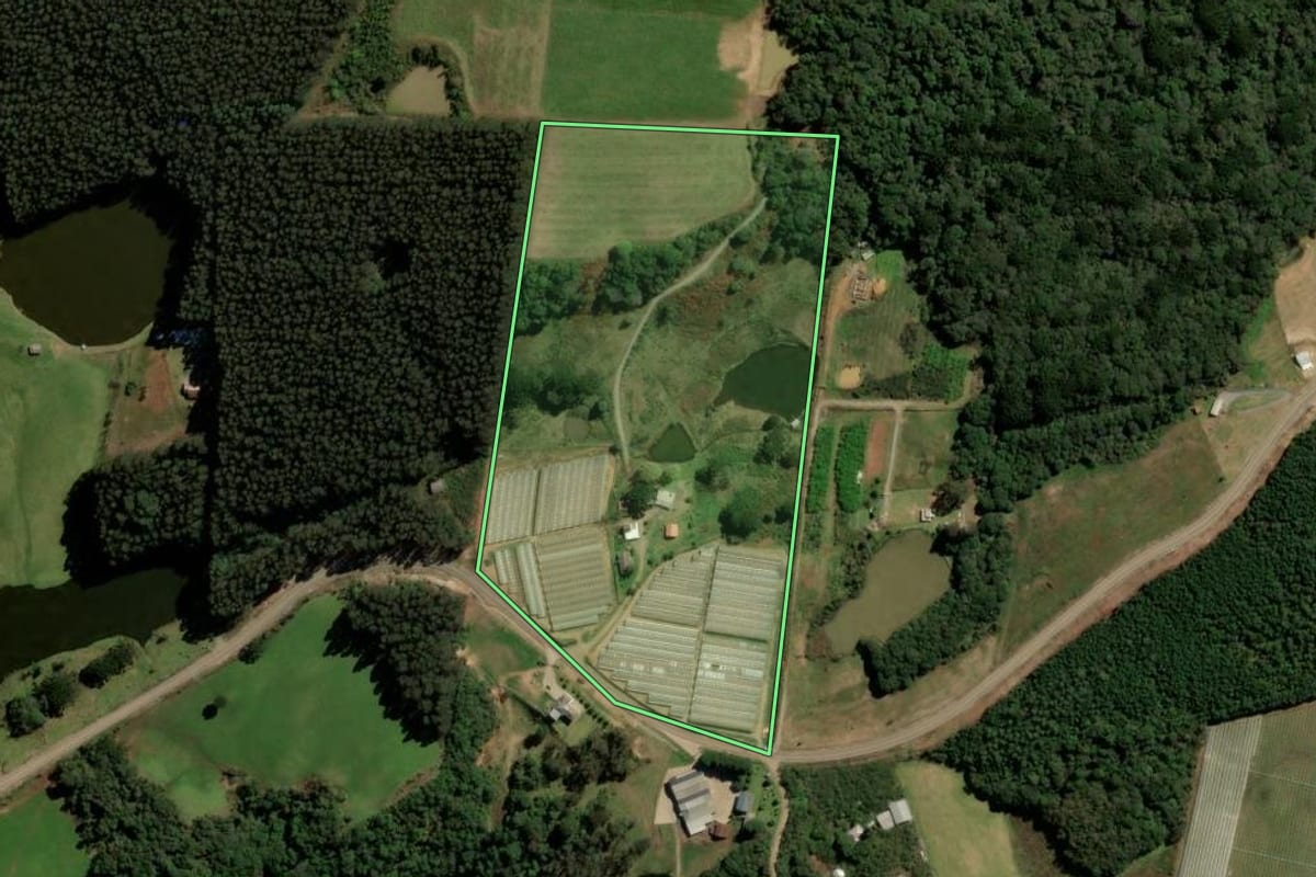 Imagem de satélite do imóvel rural em Caxias do Sul (RS), com o contorno declarado no CAR desenhado por cima.