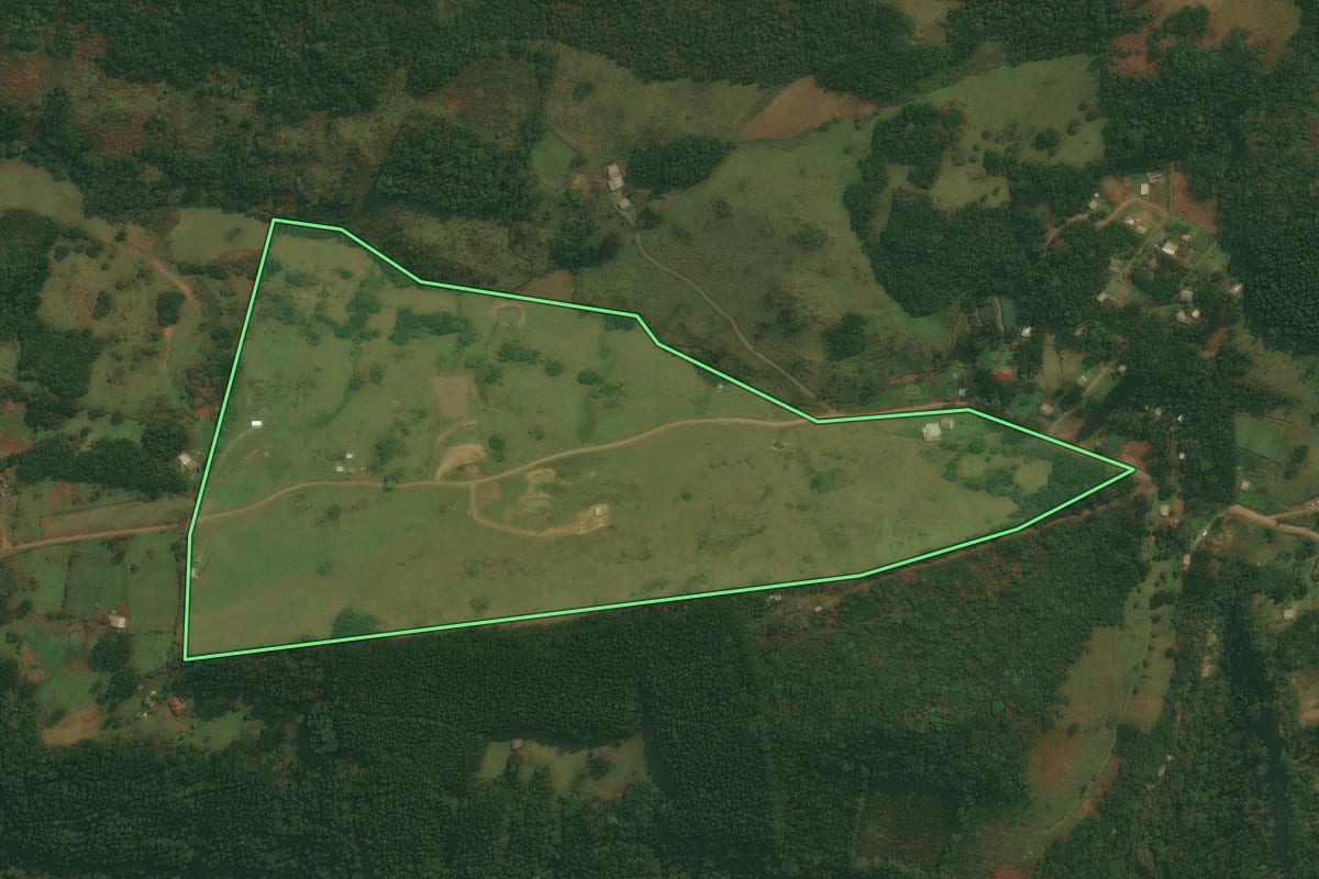 Imagem de satélite do imóvel rural em Caxias do Sul (RS), com o contorno declarado no CAR desenhado por cima.