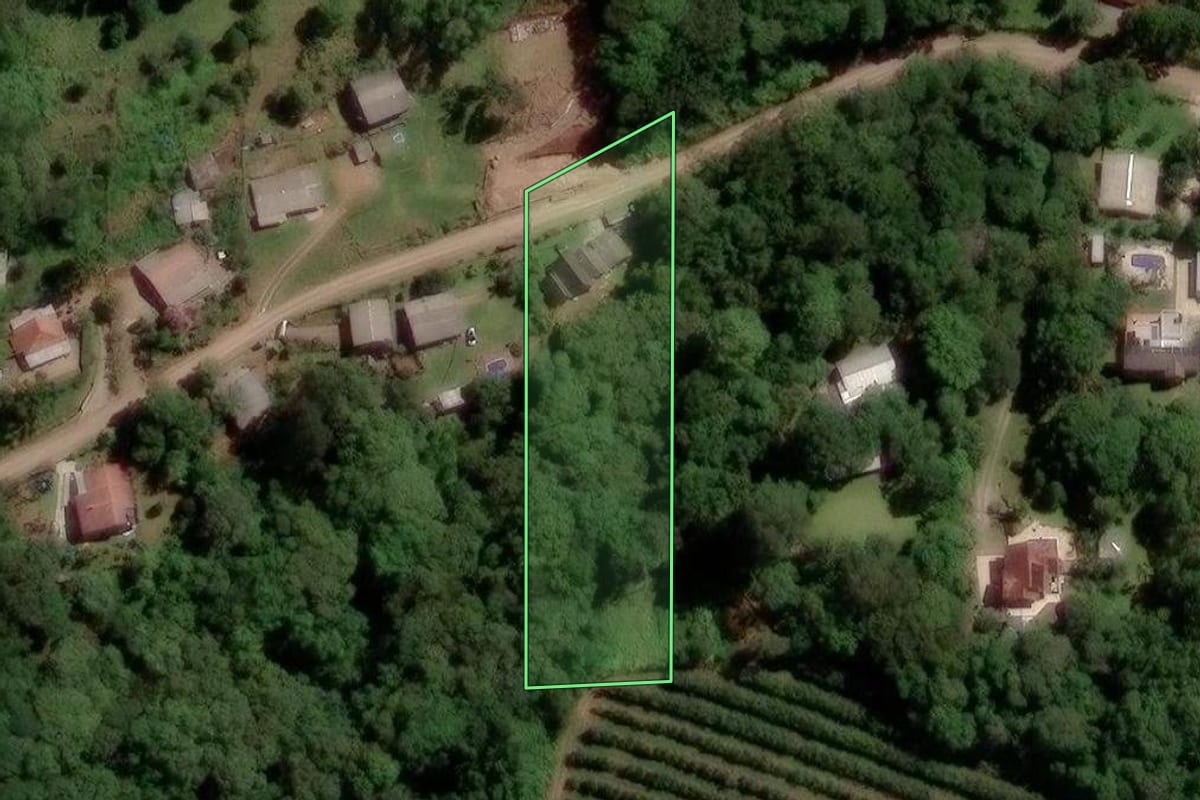 Imagem de satélite do imóvel rural em Caxias do Sul (RS), com o contorno declarado no CAR desenhado por cima.