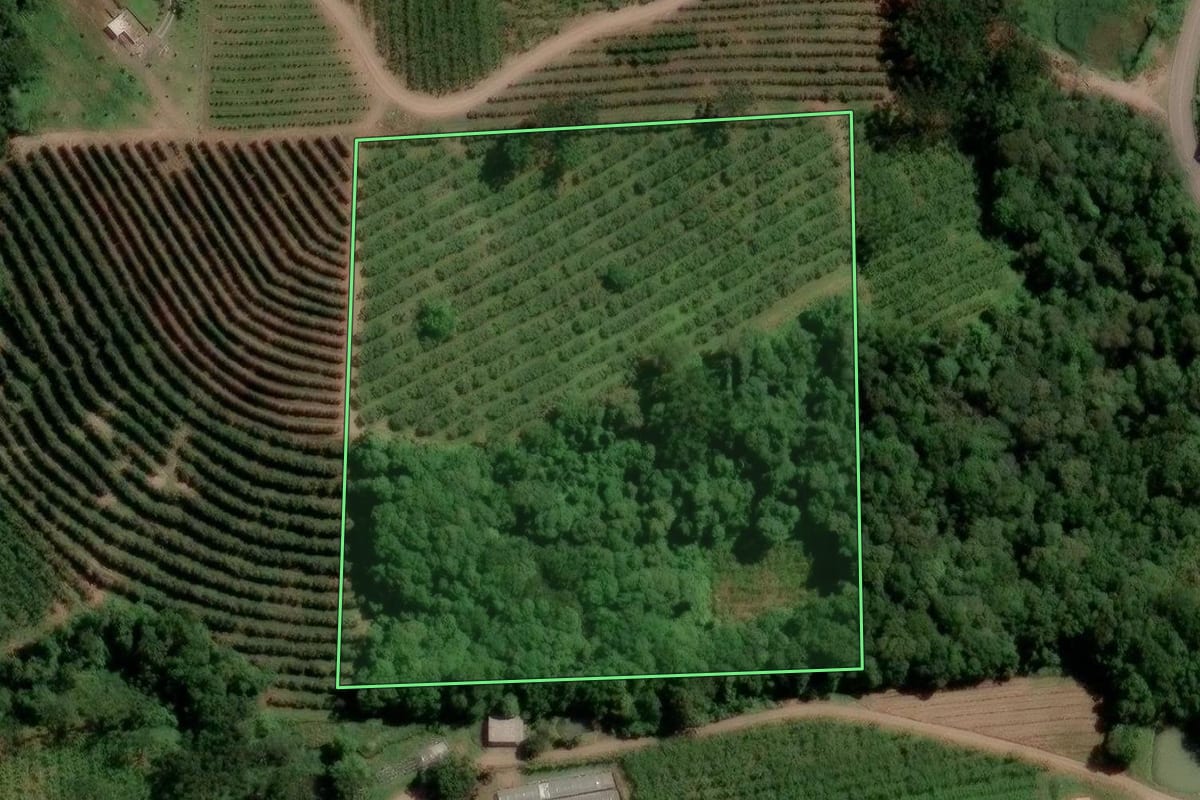 Imagem de satélite do imóvel rural em Caxias do Sul (RS), com o contorno declarado no CAR desenhado por cima.