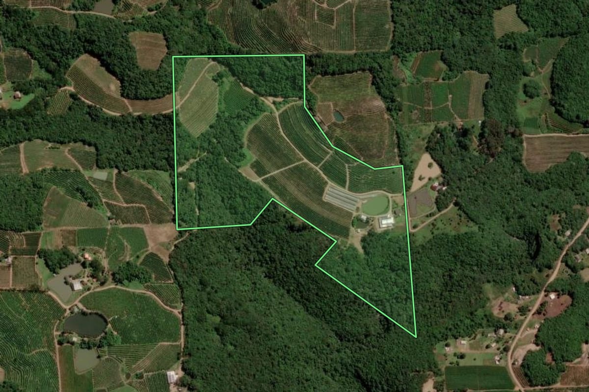 Imagem de satélite do imóvel rural em Caxias do Sul (RS), com o contorno declarado no CAR desenhado por cima.