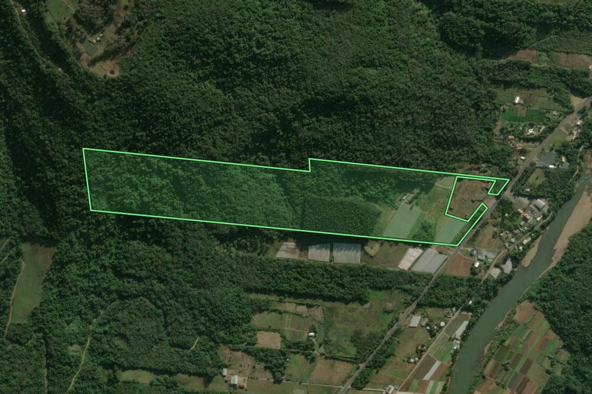 Imagem de satélite do imóvel rural em Caxias do Sul (RS), com o contorno declarado no CAR desenhado por cima.