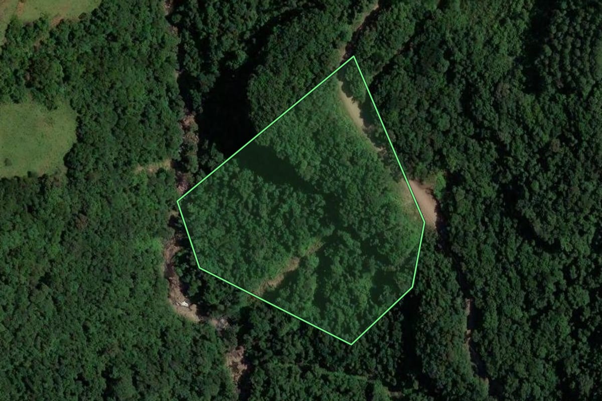Imagem de satélite do imóvel rural em Caxias do Sul (RS), com o contorno declarado no CAR desenhado por cima.