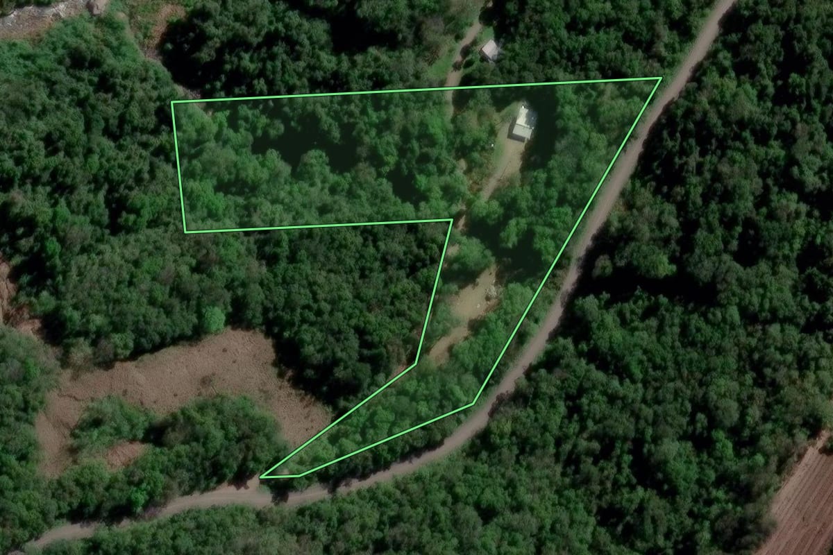Imagem de satélite do imóvel rural em Caxias do Sul (RS), com o contorno declarado no CAR desenhado por cima.