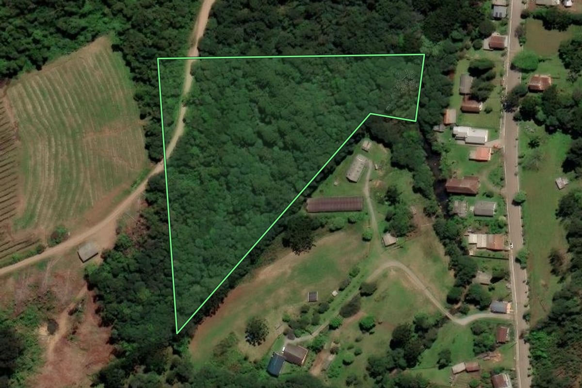 Imagem de satélite do imóvel rural em Caxias do Sul (RS), com o contorno declarado no CAR desenhado por cima.