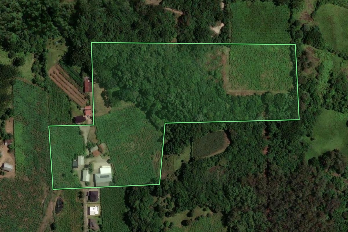 Imagem de satélite do imóvel rural em Caxias do Sul (RS), com o contorno declarado no CAR desenhado por cima.
