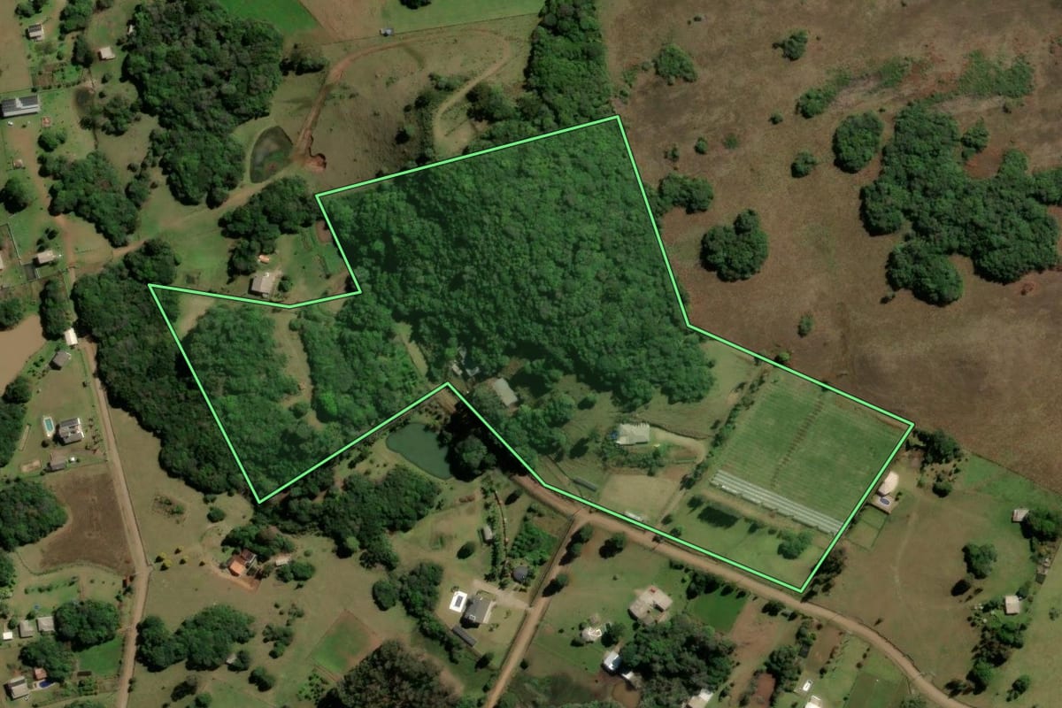 Imagem de satélite do imóvel rural em Caxias do Sul (RS), com o contorno declarado no CAR desenhado por cima.