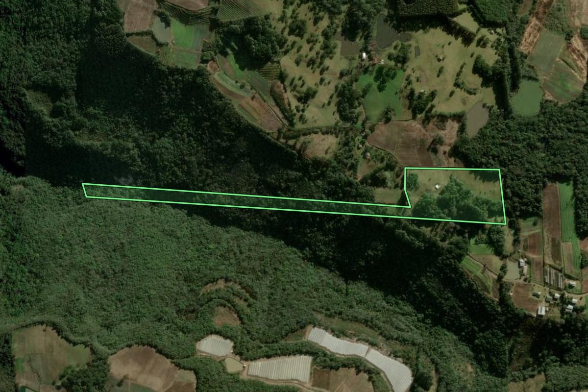Imagem de satélite do imóvel rural em Caxias do Sul (RS), com o contorno declarado no CAR desenhado por cima.